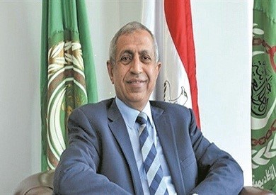 اللواء الأستاذ الدكتور / إسماعيل عبد الغفار